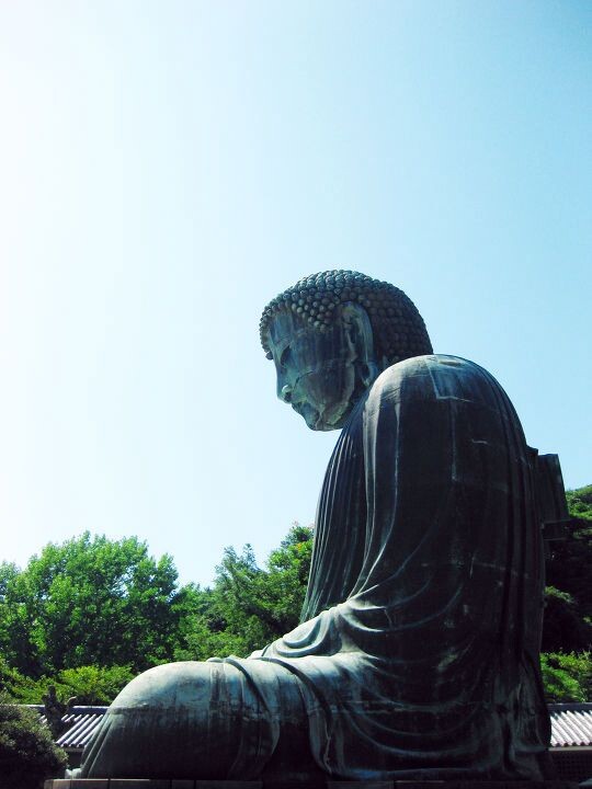 仏の橫顏<br />
镰仓大佛