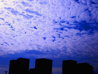 IMG_4857副本.jpg