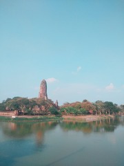 1146431