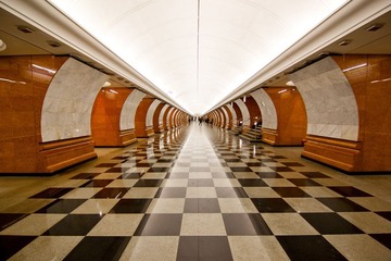 IMG_7813.jpg
