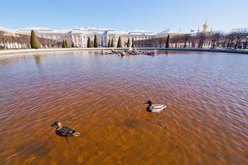 IMG_1154.jpg