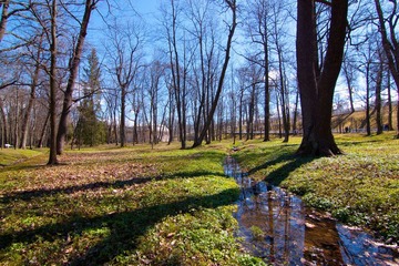 IMG_1232.jpg