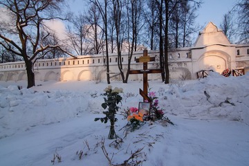 IMG_8337.jpg