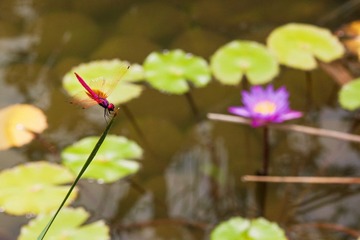 IMG_1587_副本.jpg