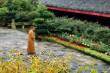 IMG_0484_副本.jpg