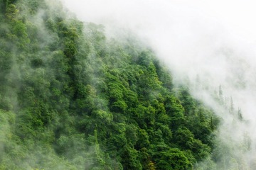 IMG_0753_副本.jpg