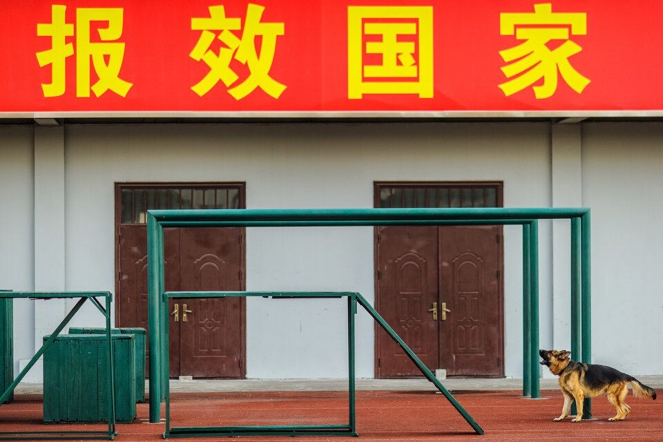无题<br />
