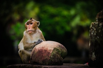 D3S_7340.jpg