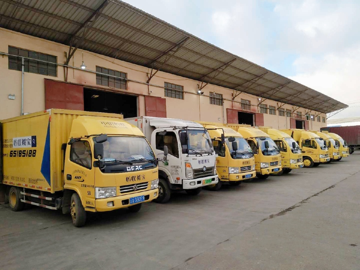 昆明蚂蚁搬家08