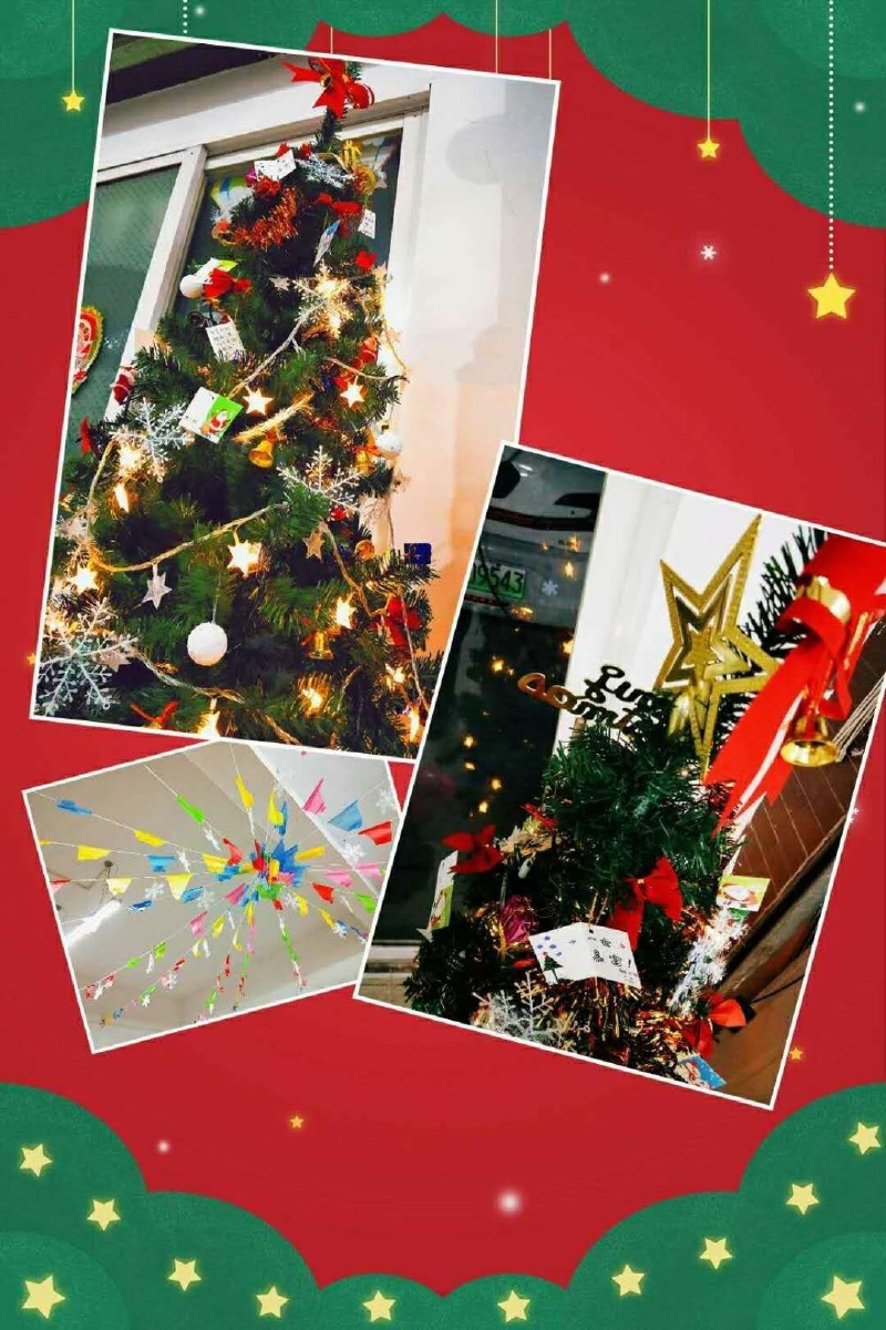 昆明蚂蚁搬家08