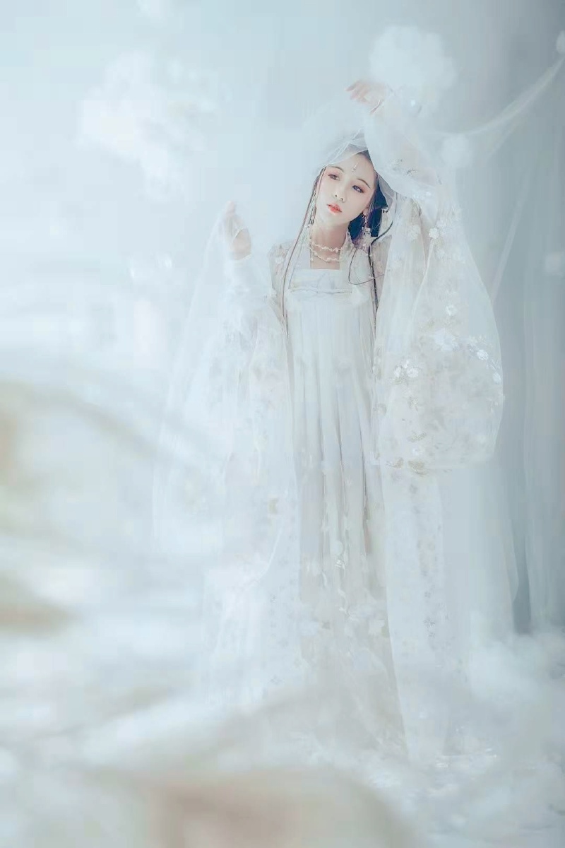 昆明蚂蚁搬家08