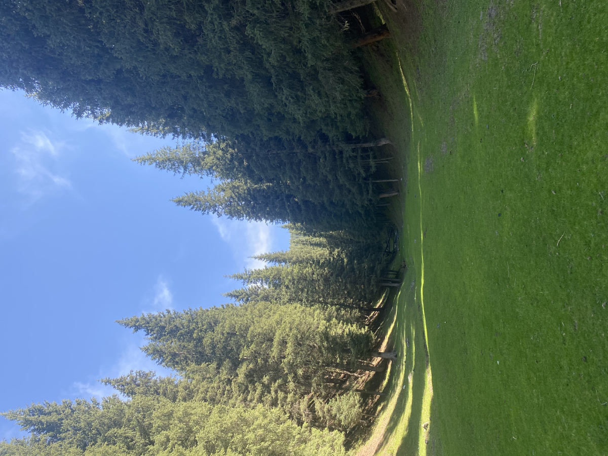 乌鲁木齐南山