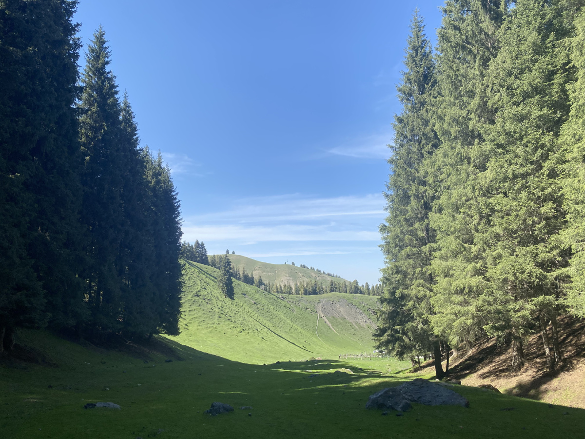 乌鲁木齐南山