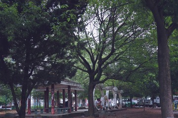 DSC04895 (1)