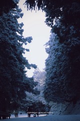 7E8F69B2-AC2D-479F-8376-DE72ADFFD239/L0/001