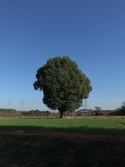 8CE70074-EA8F-47CF-B1AC-CD1C81A08D4D/L0/001