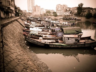 P1020052.jpg