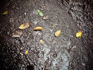 P1020103.jpg