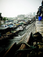 P1020020.jpg