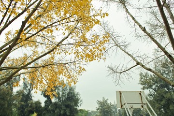 IMG_0731-2.jpg