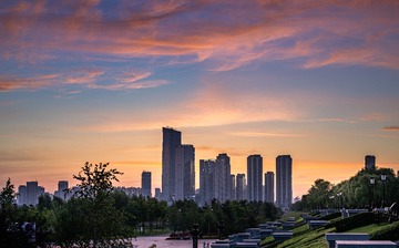 2441701