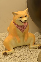 754371