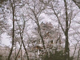 41C0EBBB-A58A-4421-BD75-94175B12C87F/L0/001