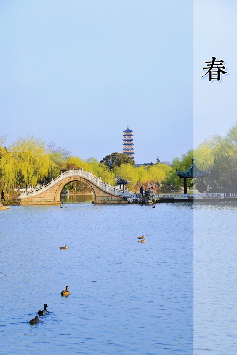 江苏扬州瘦西湖寻找春天的气息