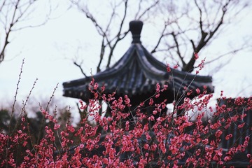 559F2F93-CE6A-4B14-AC98-6D2A60E1CACD/L0/001