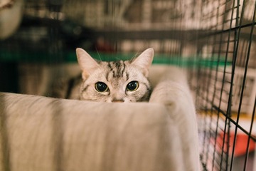 778017