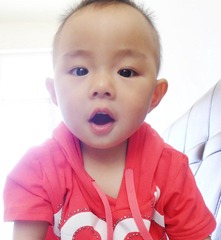 SAM_2075_
