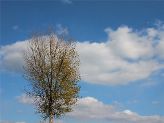 547360