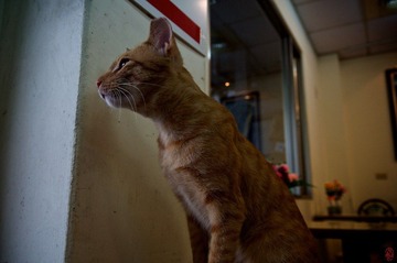 DSC_9873.jpg