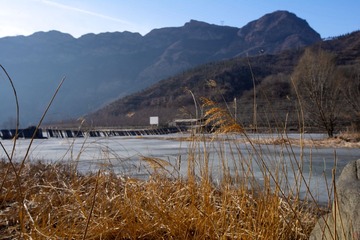 DSC_1530.jpg
