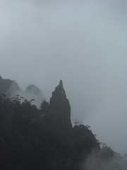 B15F5079-01D4-4505-89F5-0057233C1253/L0/001