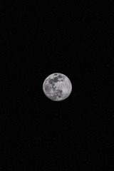 008F22DC-4F72-4A74-BE75-791090C8E6EE/L0/001