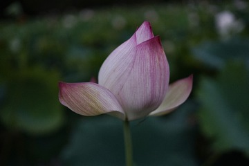 F521AD0C-574B-41E2-85E5-8F790519DFC8/L0/001