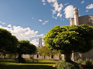 _8108082.jpg