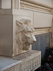 _8108064.jpg
