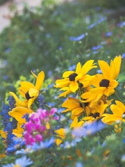 _8108056.jpg
