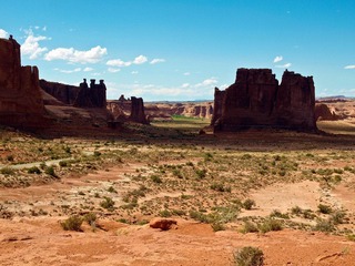 _8097730.jpg