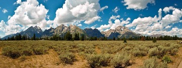 _8087625-Edit.jpg
