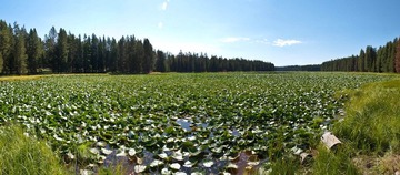 _8087515-Edit.jpg