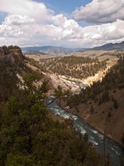 _8077358.jpg