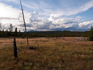_8067086.jpg