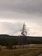 _8066771.jpg
