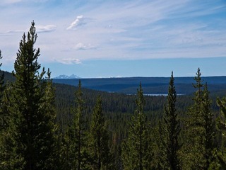 _8066615.jpg