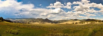 _8056486-Edit.jpg