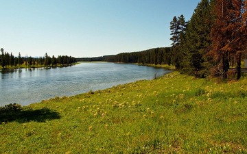 _8056286.jpg