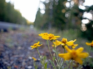 _8056262-Edit.jpg